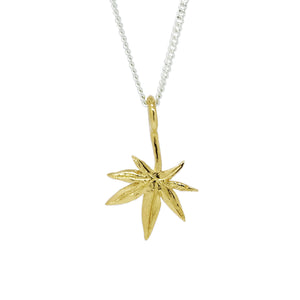 Japanese Maple Charm